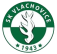 SK Vlachovice